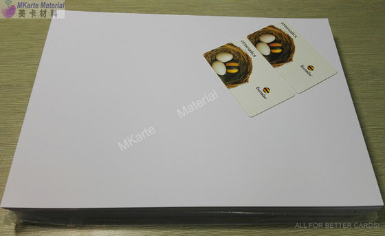 Digital resistente chimica che stampa il PVC riveste la reversione perfetta di colore