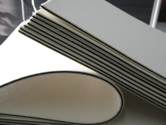 Cuscinetto laminato cuscino ritenuto di lana Heatproof con un tempo di impiego di anno